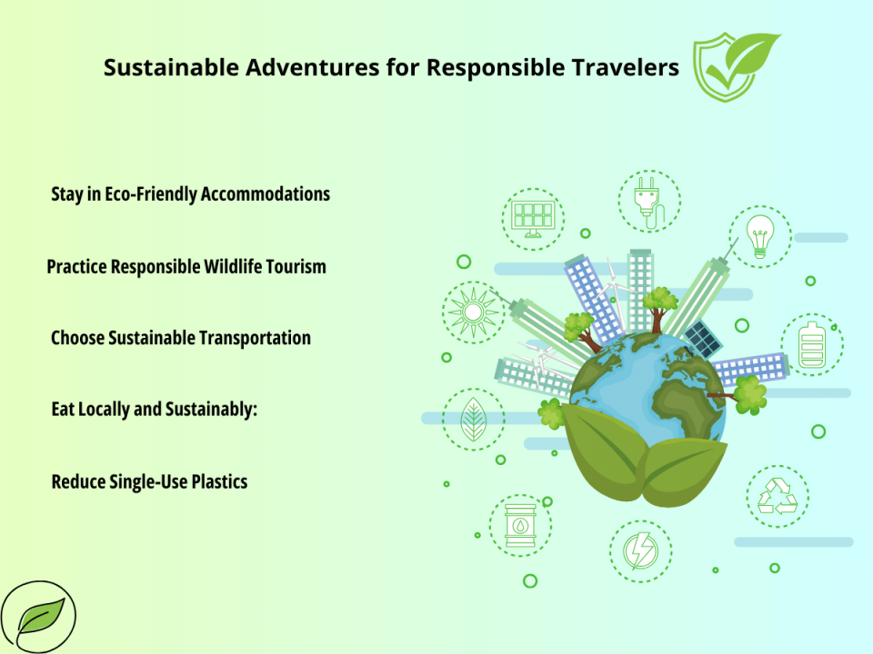 Eco-Friendly Travel